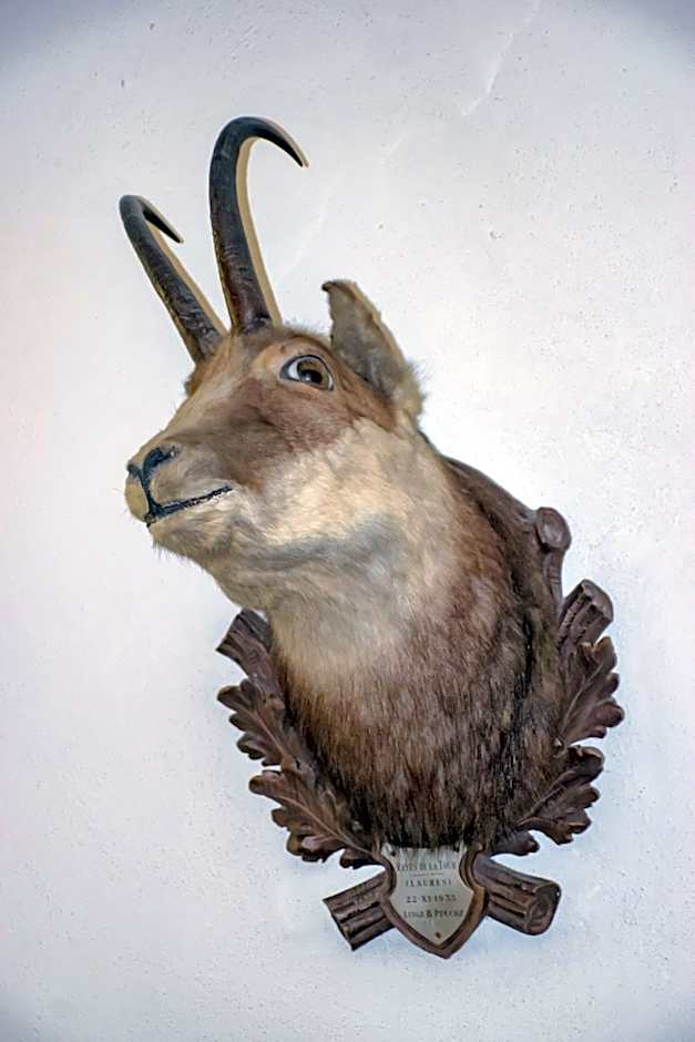 Hotel La Villa della Regina