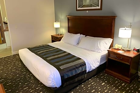 1 King Bed, One-Bedroom, Presidential Suite, Non-Smoking
