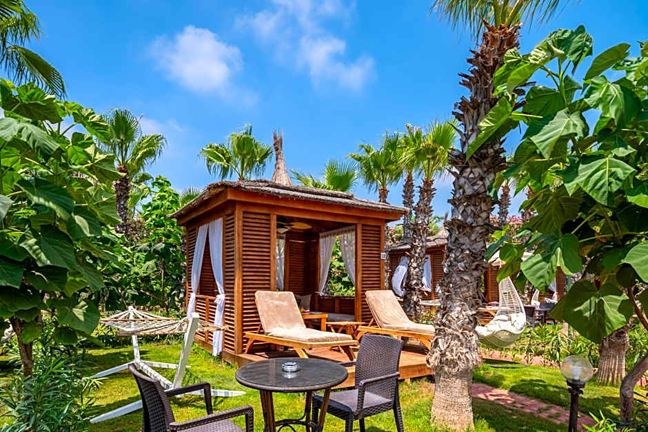 Delphin Diva Premiere