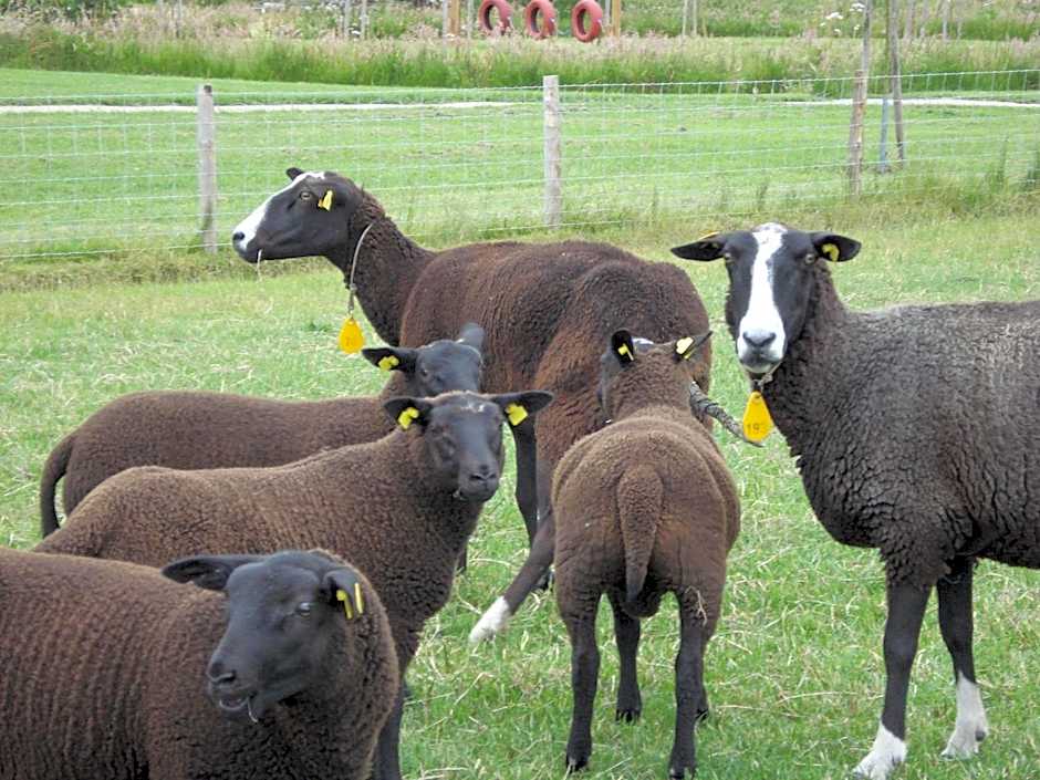 Fruitpark Hotel & Spa