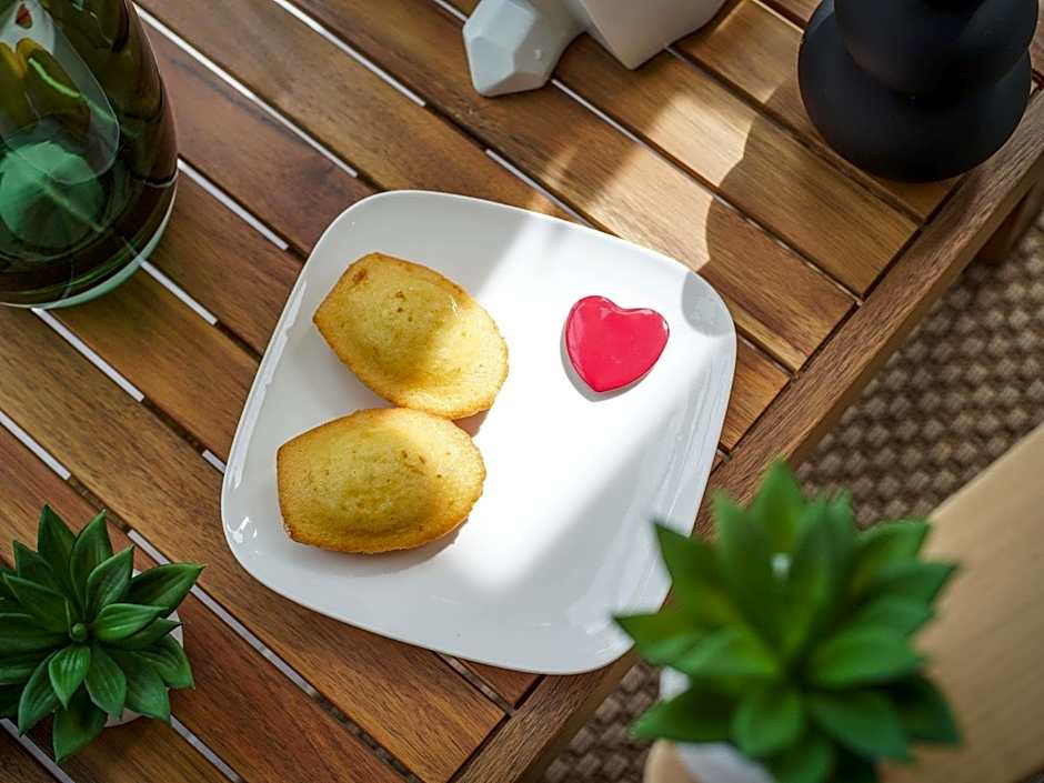 Ibis Tours Centre Giraudeau