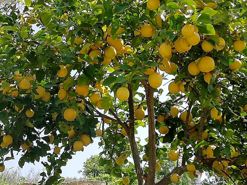 b&b binario nove e tre quarti