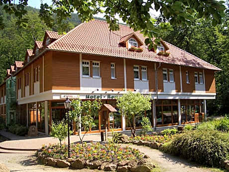 Kurpark Flair Hotel Im Ilsetal