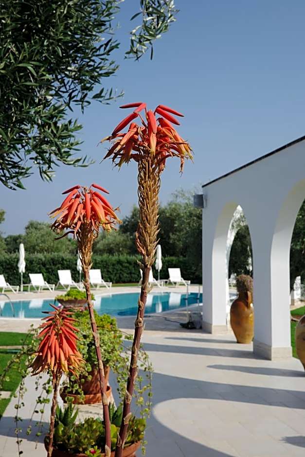 L'Ulivo Bed and Breakfast