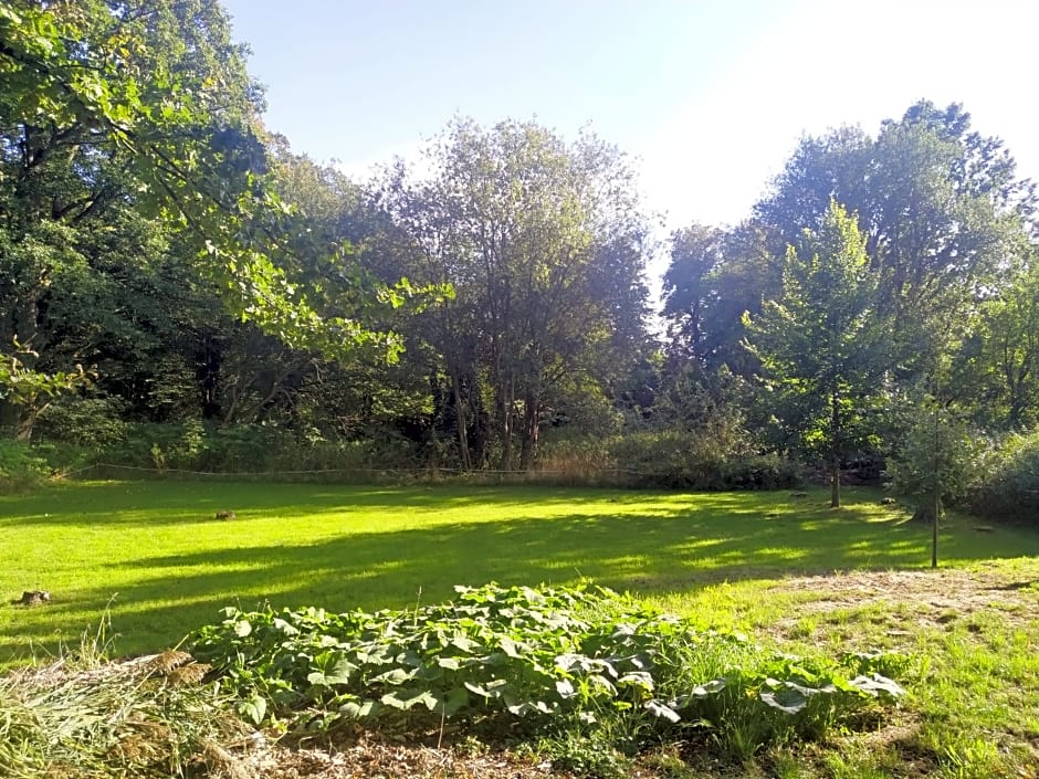 Bed & Breakfast - Warniłęg