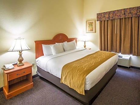 1 King Bed, Nonsmoking