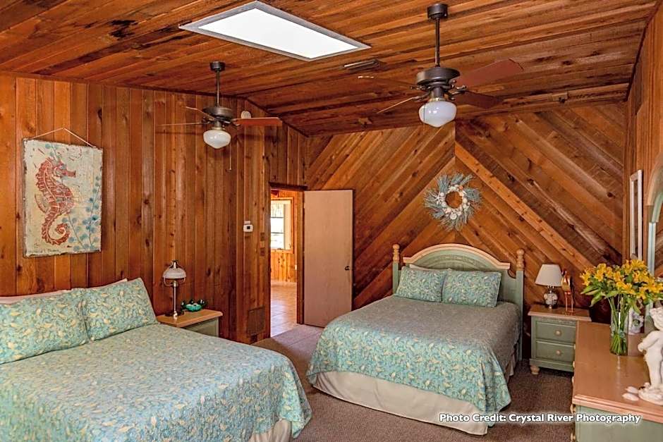 Riverfront Treetop Bungalow