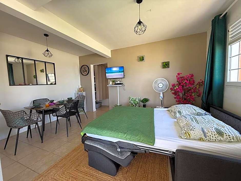 Les Tourterelles - Appartement vue mer & jacuzzi