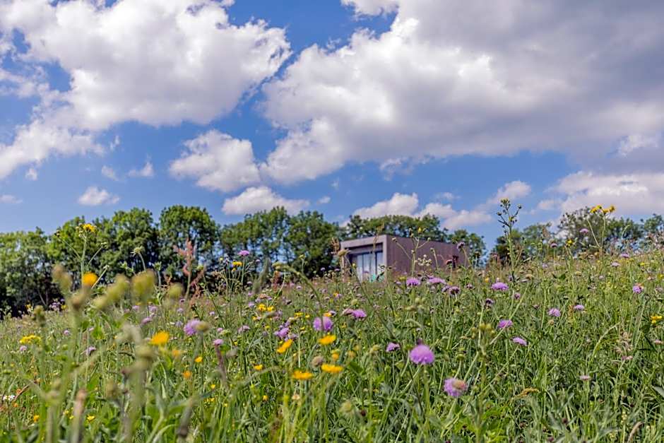 Terre d'Horizon Auvergne