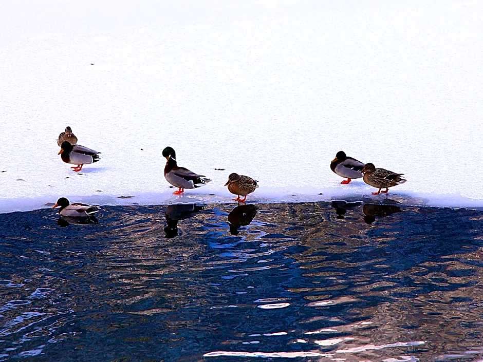 Inanlar Deluxe Hotel & Bungalow