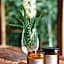 Silk Pavilions Glamping