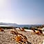 The Windmill Kimolos
