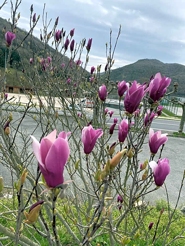 Albergue turístico de Eugi