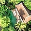 Satri House Hotel
