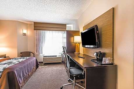 Queen Room - Accessible/Non-Smoking