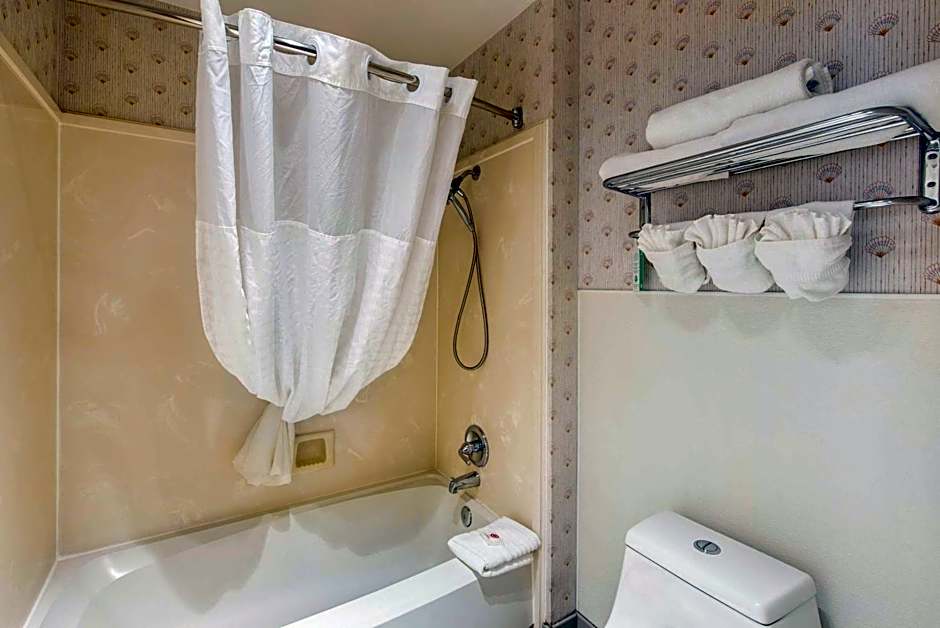 Comfort Inn Mount Shasta Area