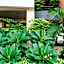 Grand Residence Ngamwongwan 19