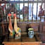 Casa Palomas Bed and Breakfast