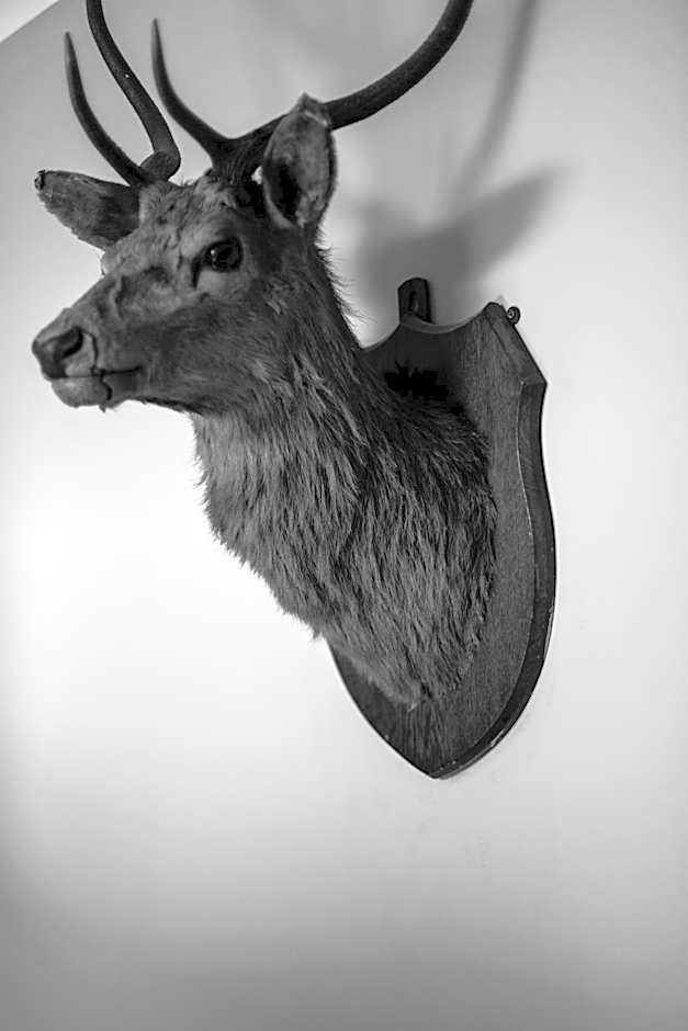 The Inn at Loch Tummel