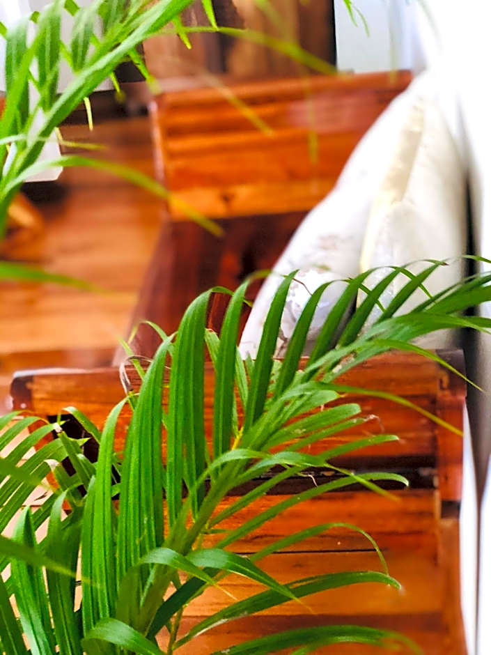 Mangata Boutique Bungalows