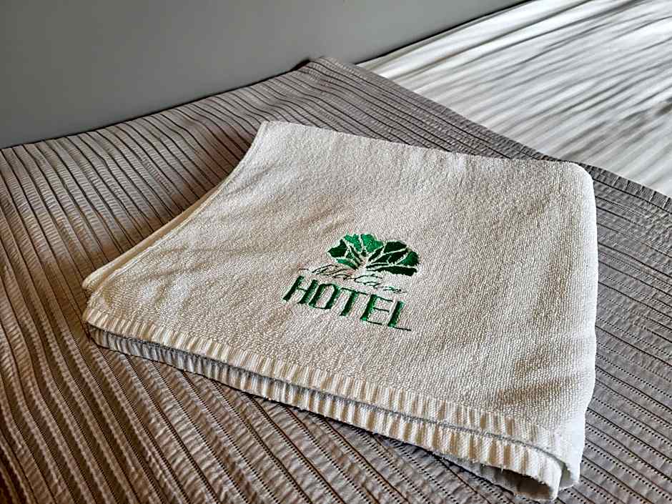 Hotel Platan