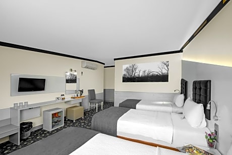 standard room with double or twin bed