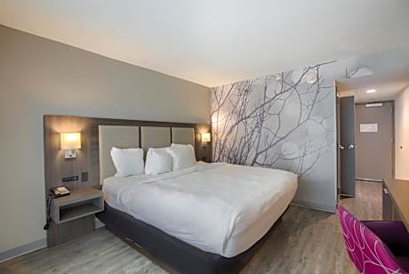 1 King Bed Non-Smoking