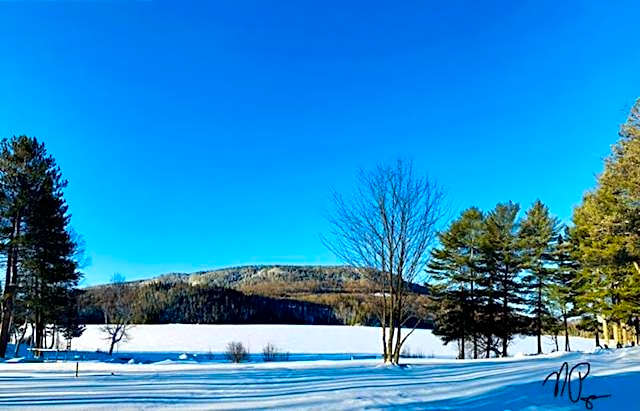 Mini maison La Charme