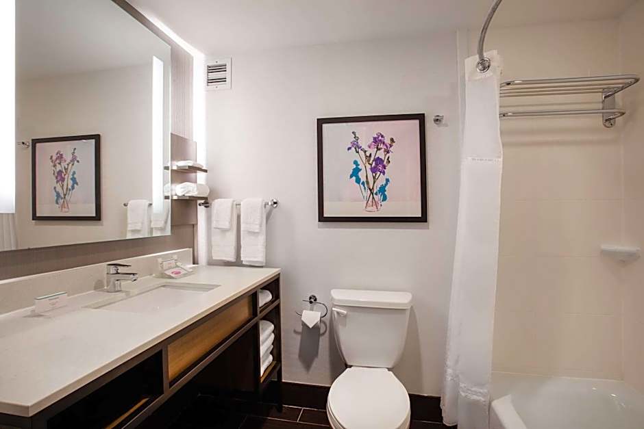 Hilton Garden Inn Smyrna