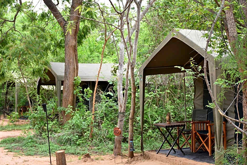 Big Game Yala - by Eco Team