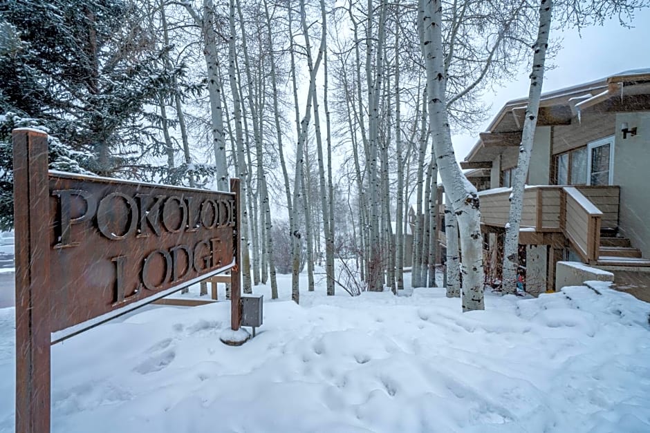 Pokolodi Lodge