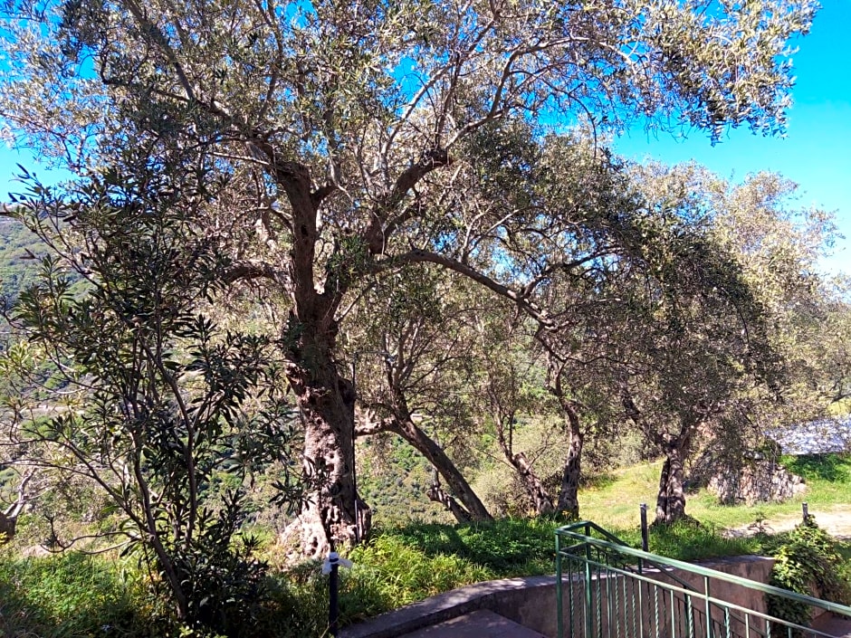 L'Antica Quercia B&B