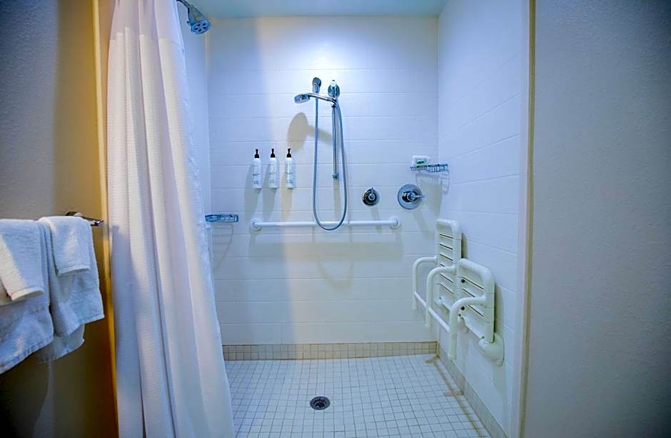 SpringHill Suites by Marriott Baton Rouge Gonzales