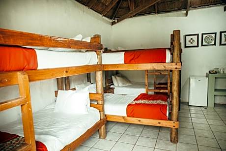 6-Bed Mixed Dormitory Room