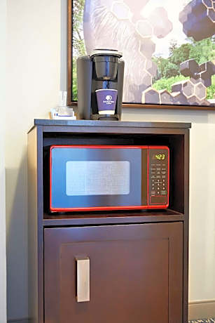 1 King Jr Suite-Microwave/Mini Fridge/Sofabed