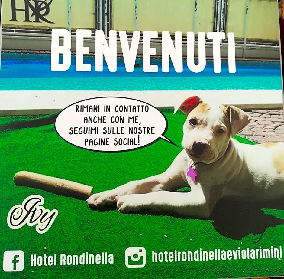 Hotel Rondinella e Viola