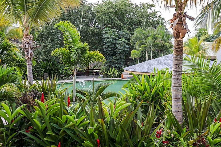 Soul Spring Sanctuary Cuernavaca