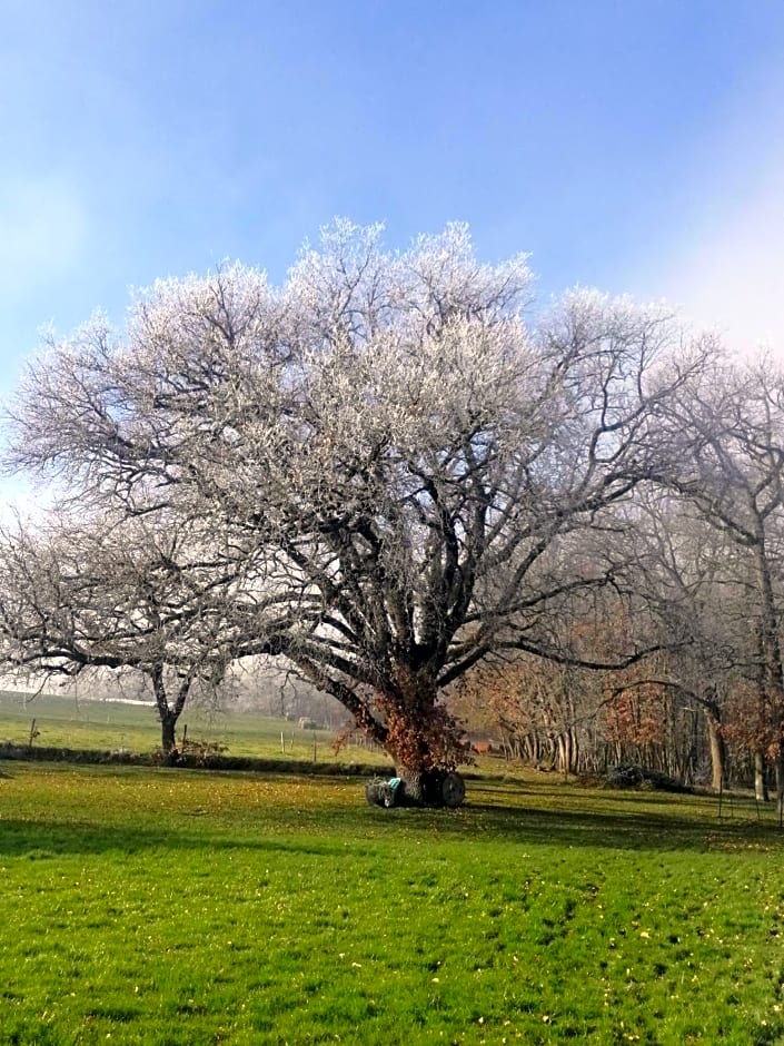 MAISON MAUPAS Chambre Rouge
