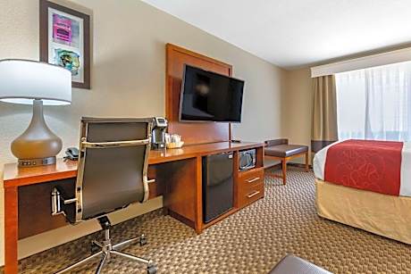 Queen Suite with Roll In Shower - Accessible/Non-Smoking