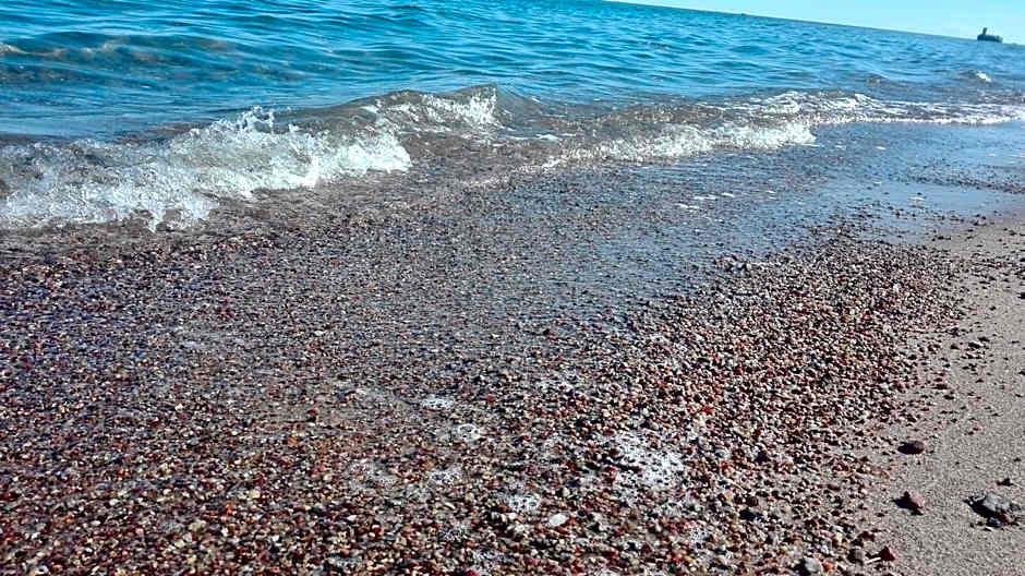 Przystań Mechelinki- Marina Del Mar