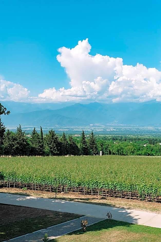 Vazisubani Estate
