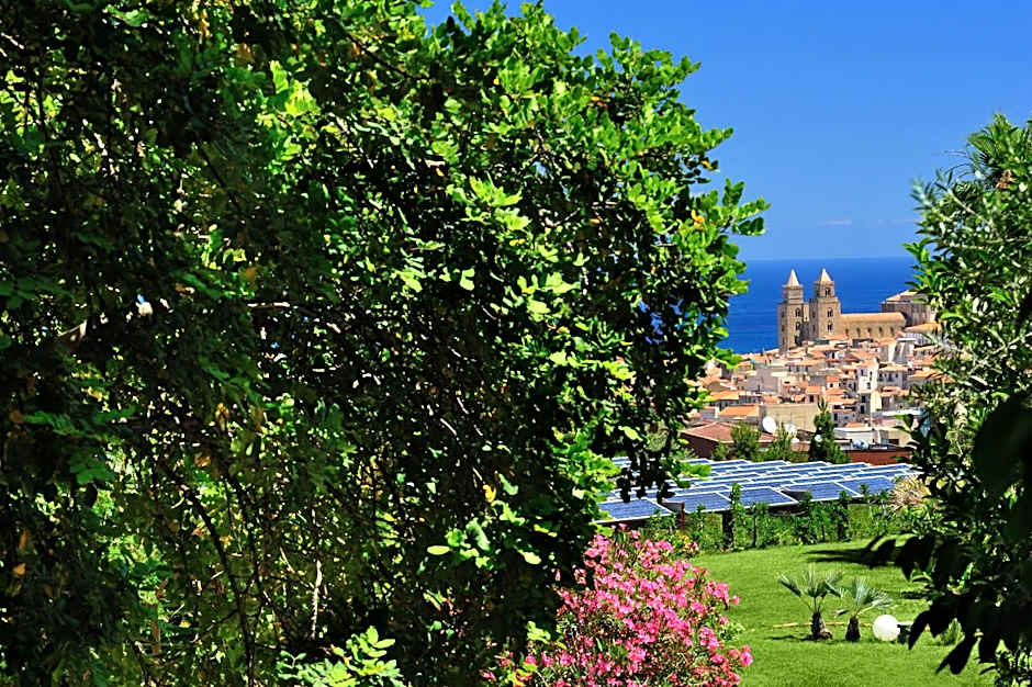 Alberi Del Paradiso