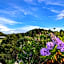 Kauri Villas