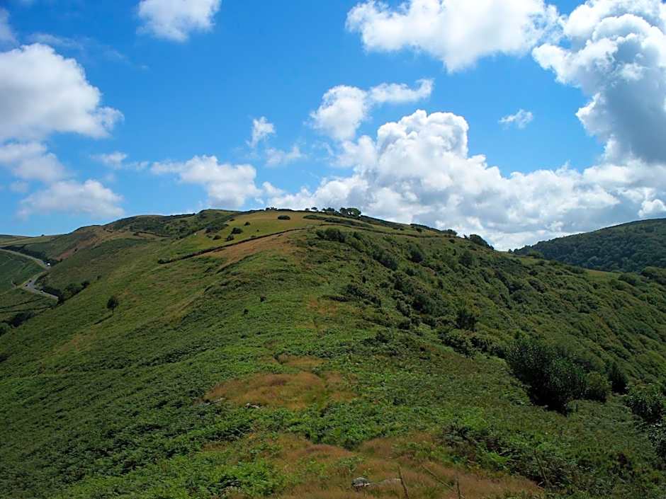 Stoke House Bed and Breakfast