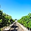 Quinta da Atela