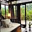 The Shorea