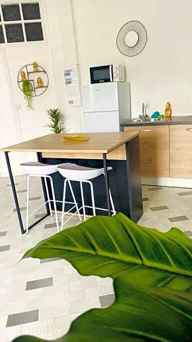 Urban Zen Appart Spacieux studio atypique avec bain a remous proche de tout