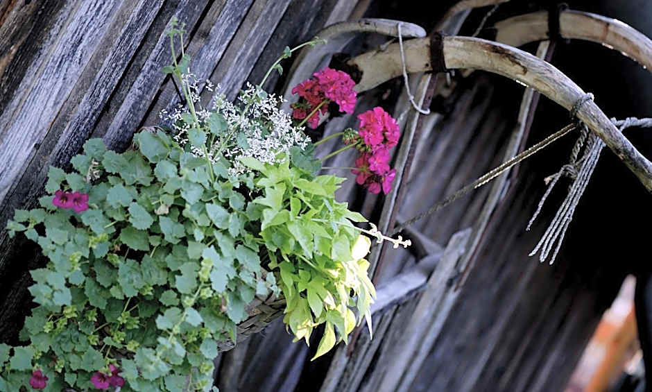 Apparthotel Ederfeld