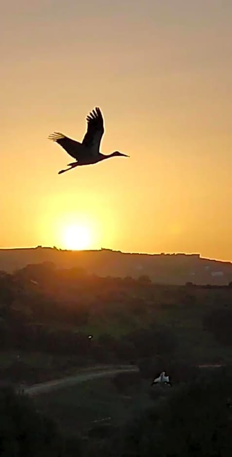 Maison d'hotes Berbari