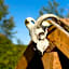 YHA Eskdale